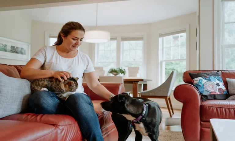 5 Details To Record Before Calling a Veterinary Clinic About a Pet’s Seizure